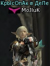 2MoLiK2
